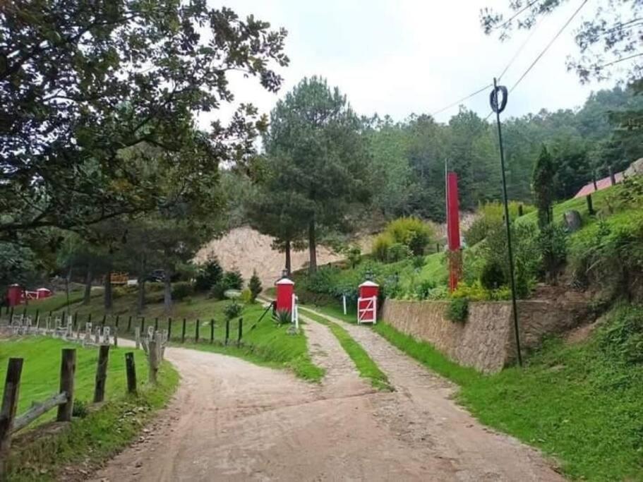 Finca Chuchiya Cabanas Tecpan Tecpán Guatemala Kültér fotó