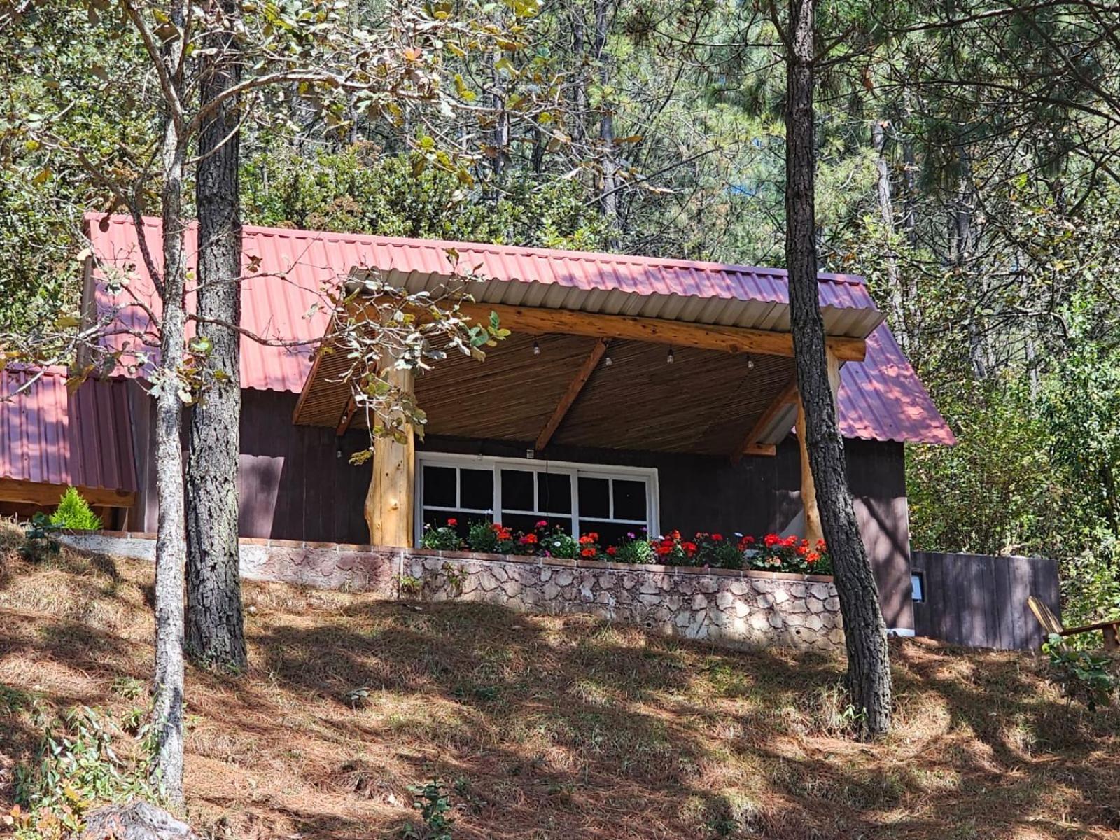 Finca Chuchiya Cabanas Tecpan Tecpán Guatemala Kültér fotó