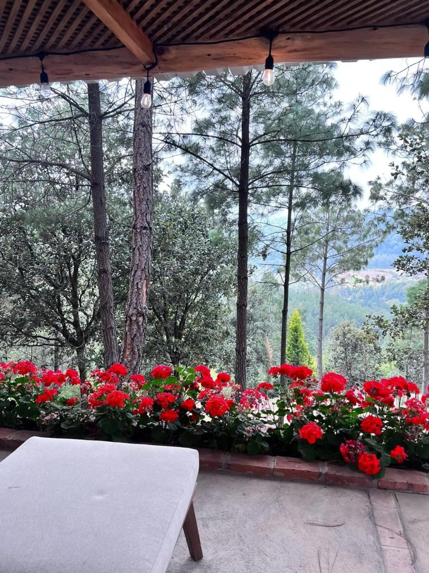Finca Chuchiya Cabanas Tecpan Tecpán Guatemala Kültér fotó